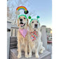 Rainbow Pot of Gold Dog Headband