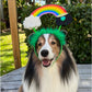 Rainbow Pot of Gold Dog Headband