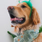 Rainbow Pot of Gold Dog Headband