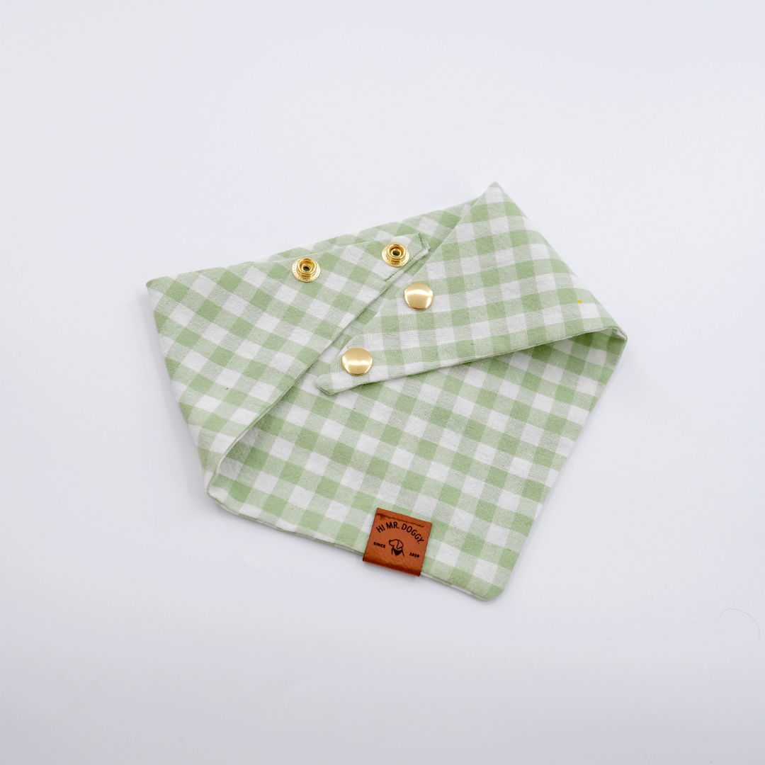 Bandana Green Checkered Little Plant - Image 2