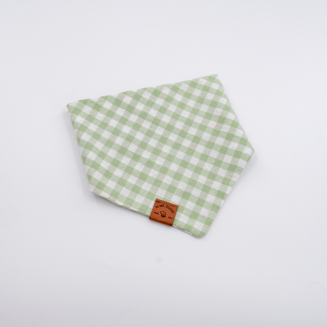 Bandana Green Checkered Little Plant - Image 5