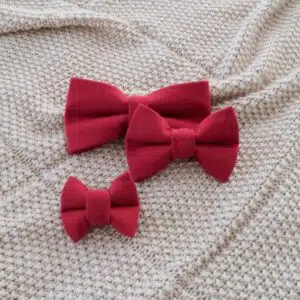 Dog Bow Tie Red Love Letter