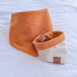 Reversible Dog Bandana – Orange Fall