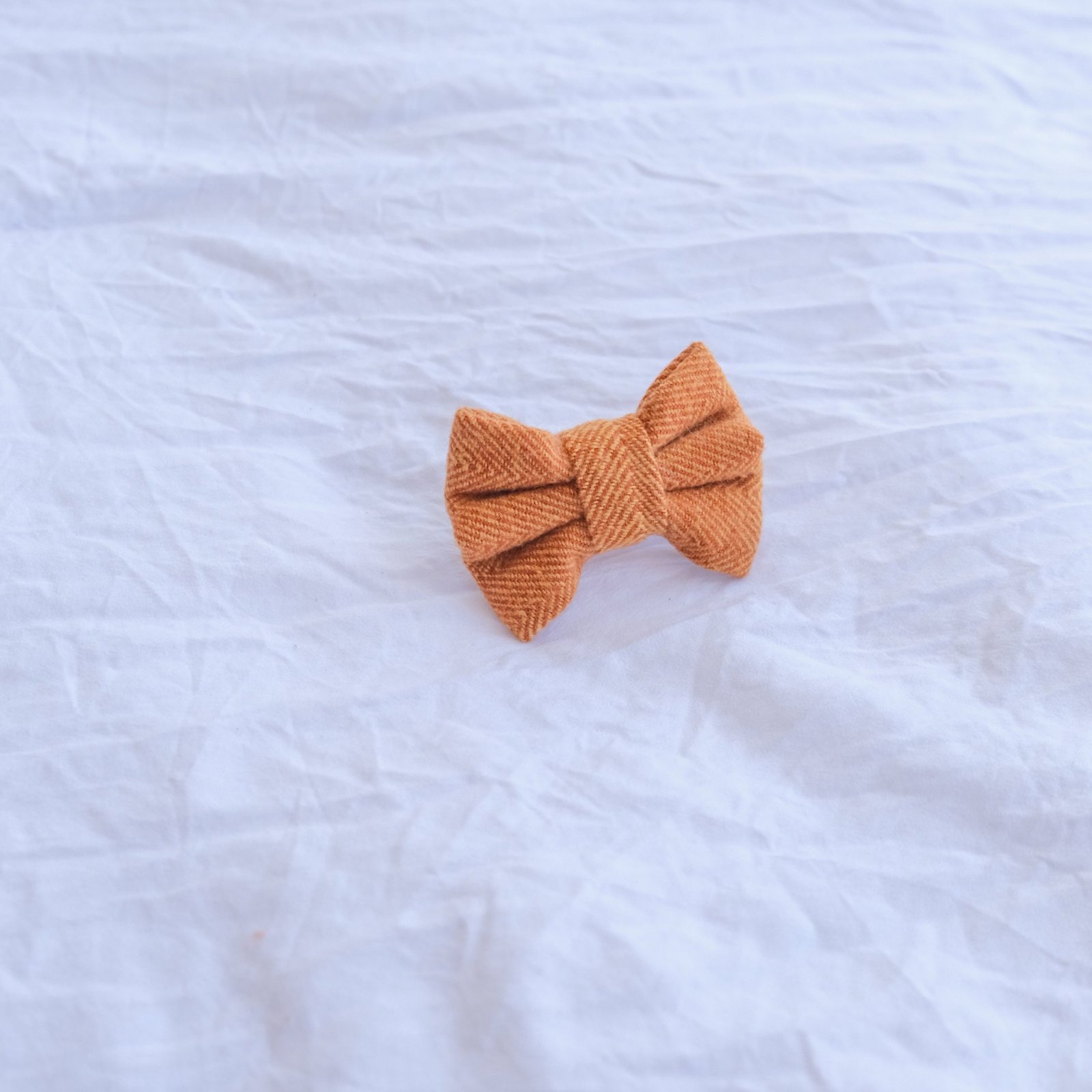 Orange Bow Tie - Image 2