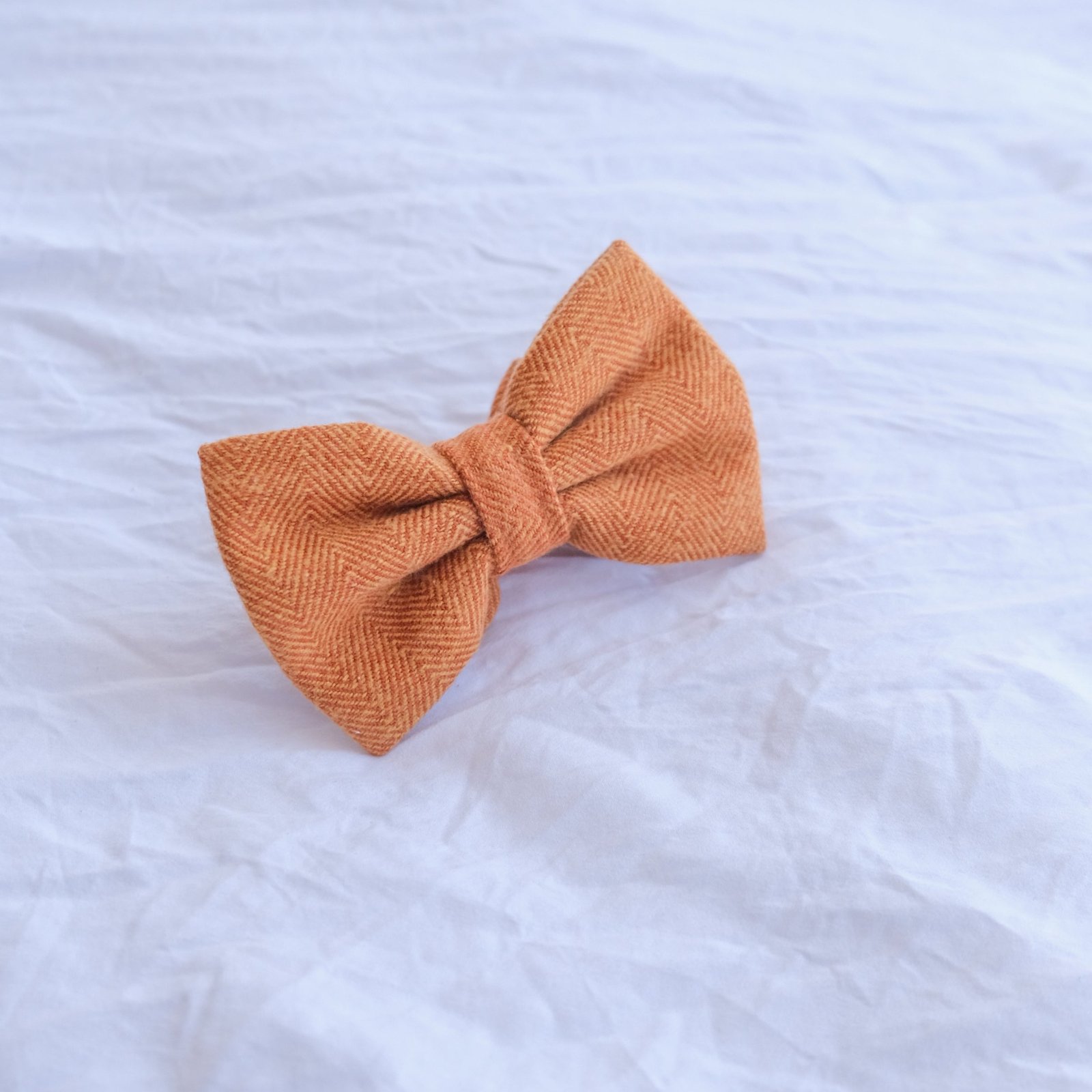 Orange Bow Tie - Image 5