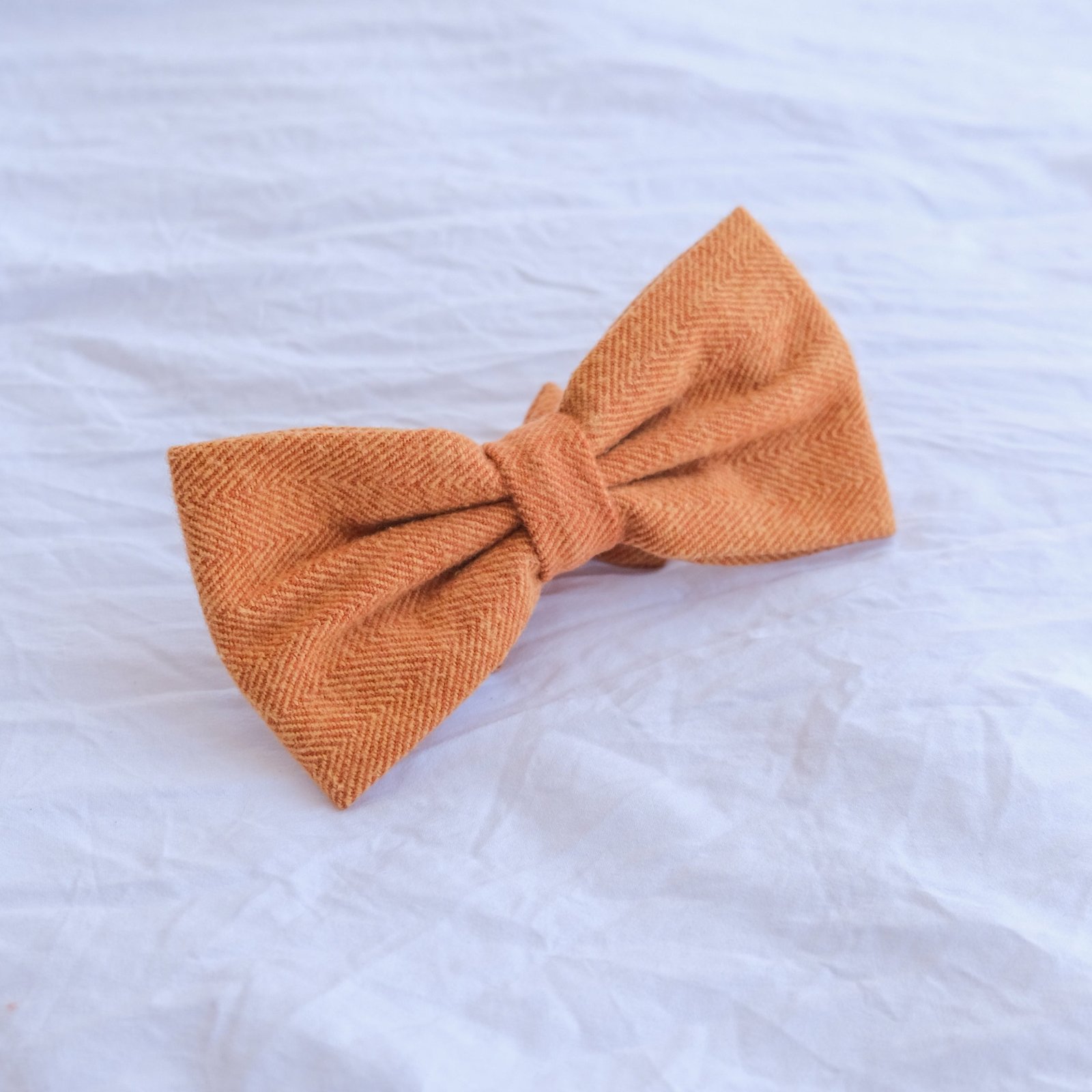 Orange Bow Tie - Image 3