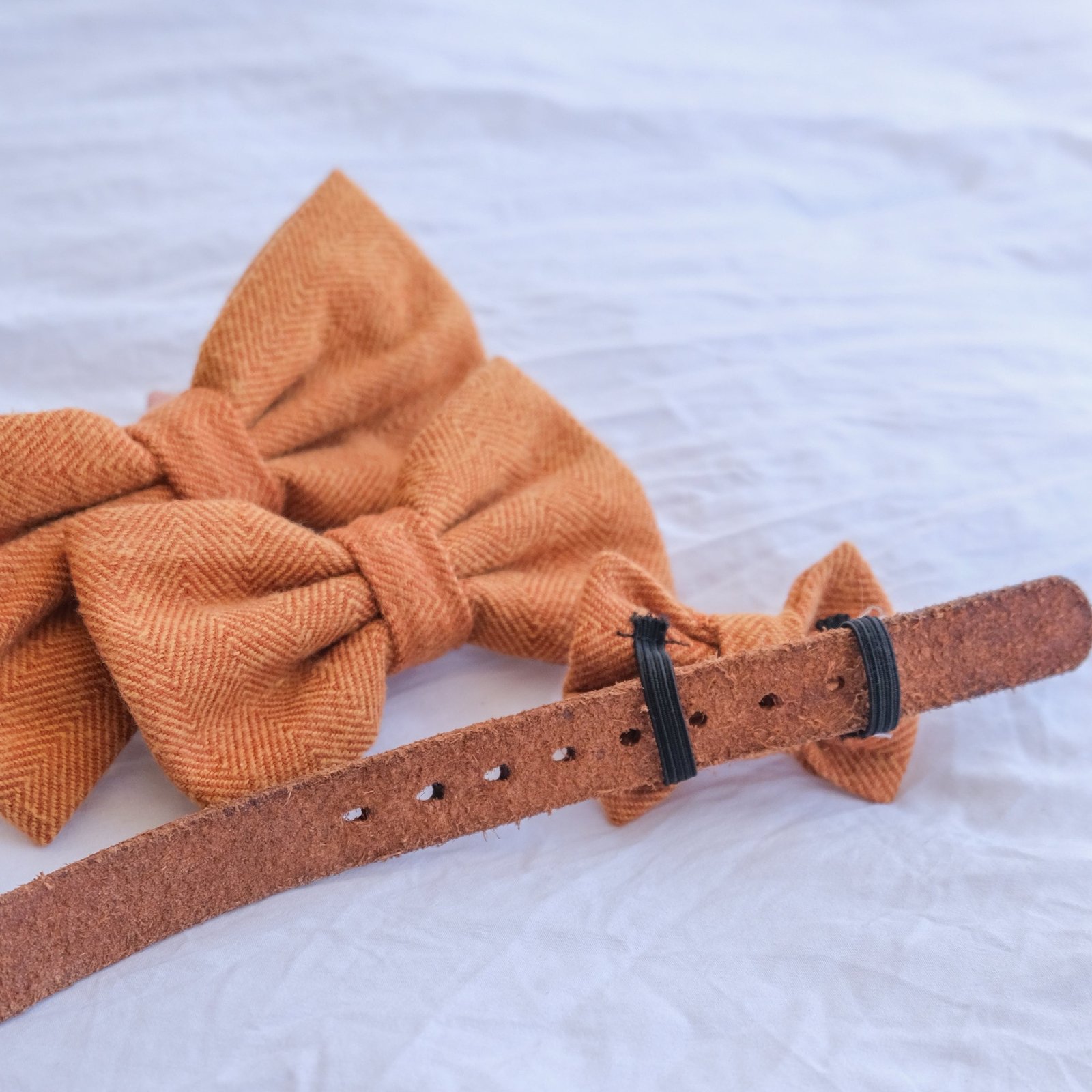 Orange Bow Tie - Image 4