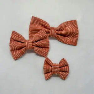 Dog Bow Tie Autumn Sunset