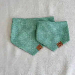 Dog Bandana Texas Sage Corduroy