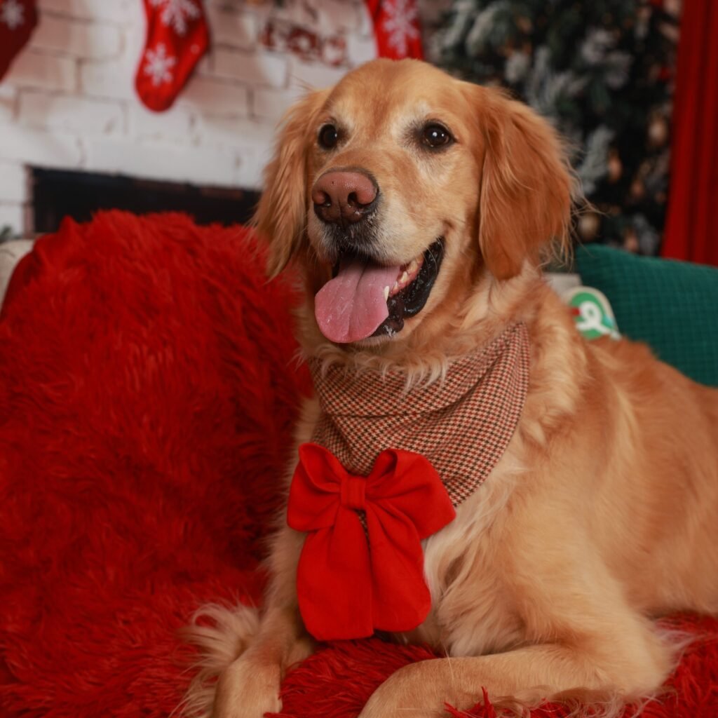 Bandana Cinnamon Bliss Houndstooth Brown