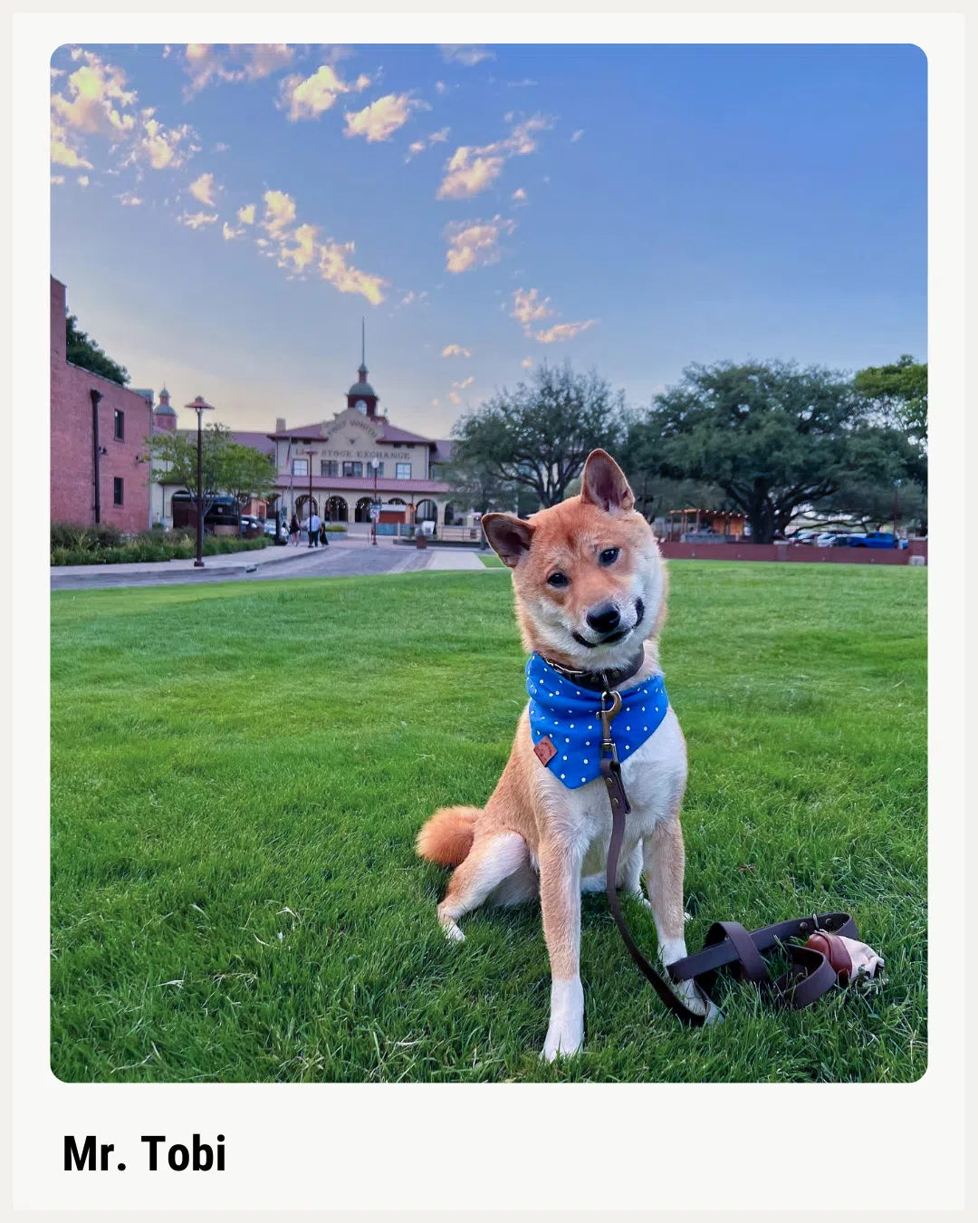 Mr. Tobi