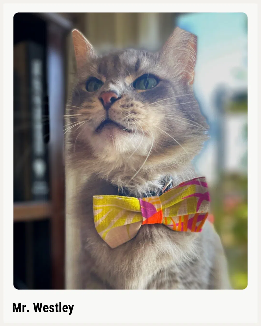 Mr. Westley
