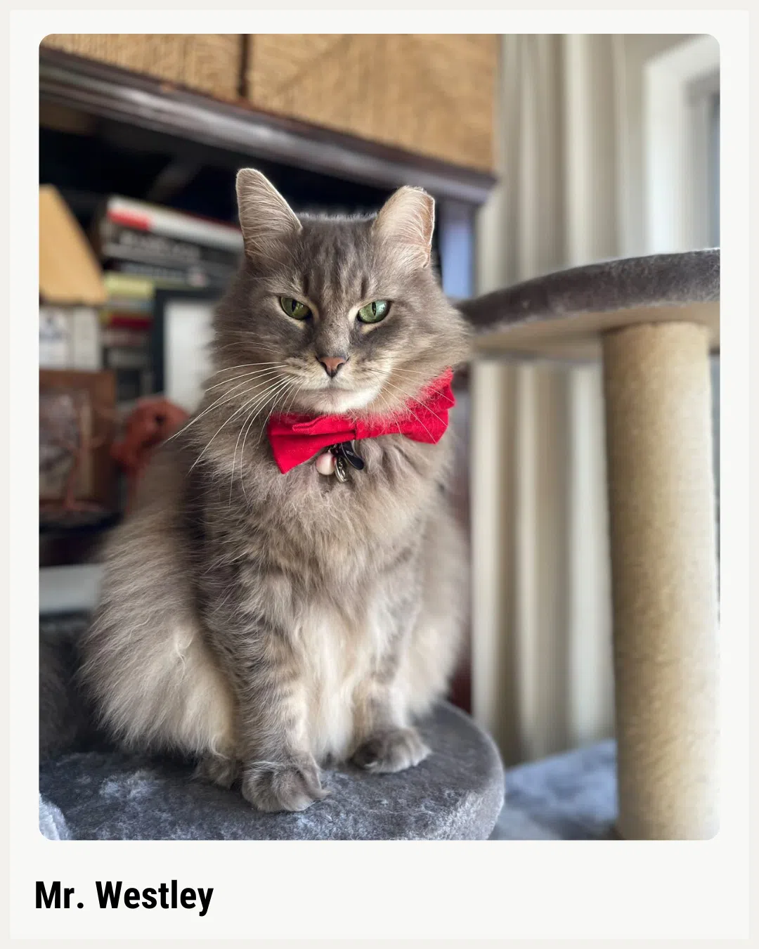 Mr. Westley