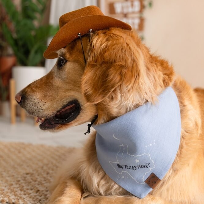 Dog Bandana - Blue Linen | Big Texas Heart