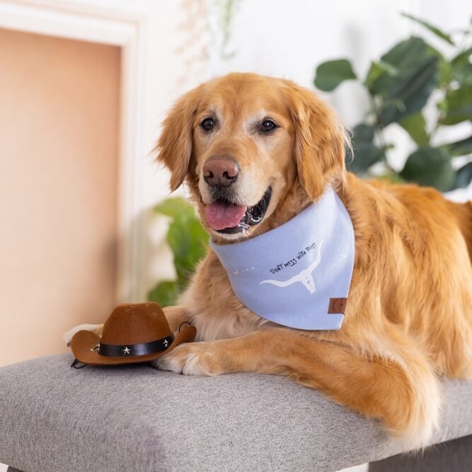 Dog Bandana - Blue Linen | Don't Mess With Texas