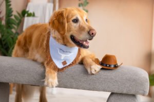Dog Bandana – Blue Linen | Don't Mess with Texas ( Fringe )