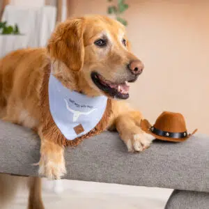 Dog Bandana – Blue Linen | Don’t Mess with Texas ( Fringe )