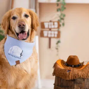 Dog Bandana – Blue Linen | Born to Bark, Raised to Rodeo