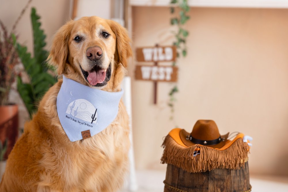 Dog Bandana – Blue Linen | Born to Bark, Raised to Rodeo