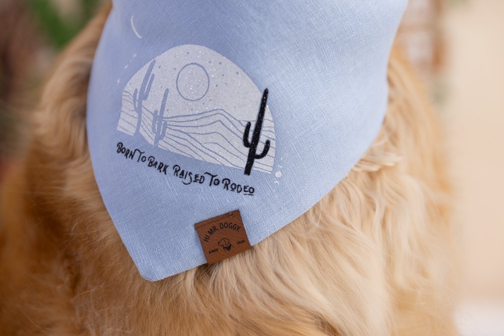 Dog Bandana – Blue Linen | Born to Bark, Raised to Rodeo - Image 2