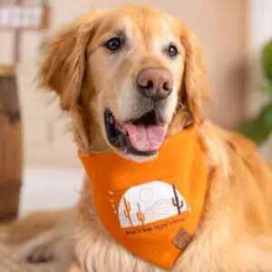Dog Bandana – Orange Linen | Born to Bark, Raised to Rodeo