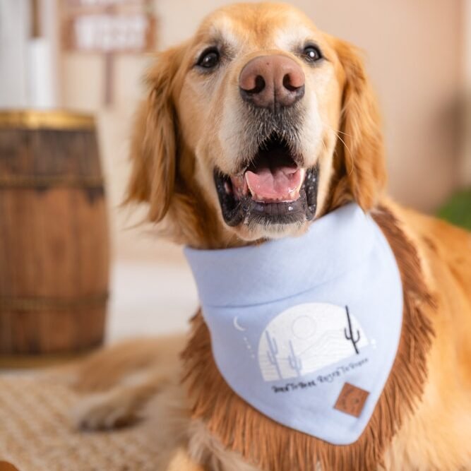 Dog Bandana – Blue Linen | Born to Bark, Raised to Rodeo ( Fringe )