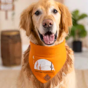 Dog Bandana – Orange Linen | Born to Bark, Raised to Rodeo ( Fringe )