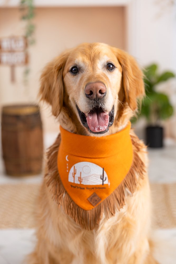 Dog Bandana – Orange Linen | Born to Bark, Raised to Rodeo ( Fringe )