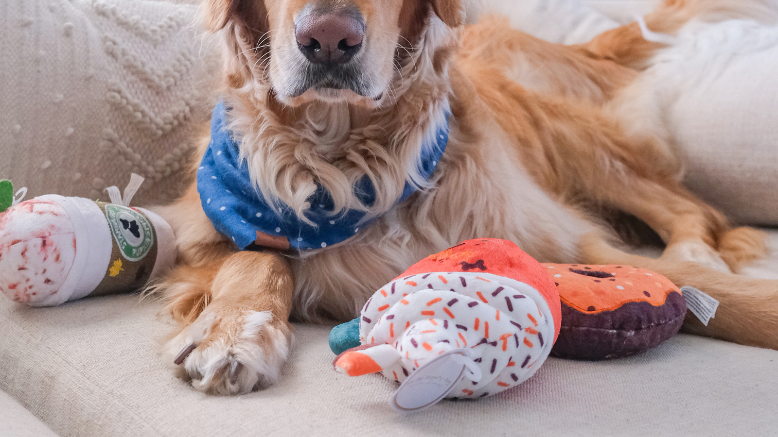 dog toys banner (2)