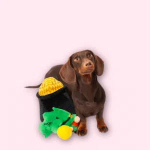 Pot of Gold Hide Dog Toy