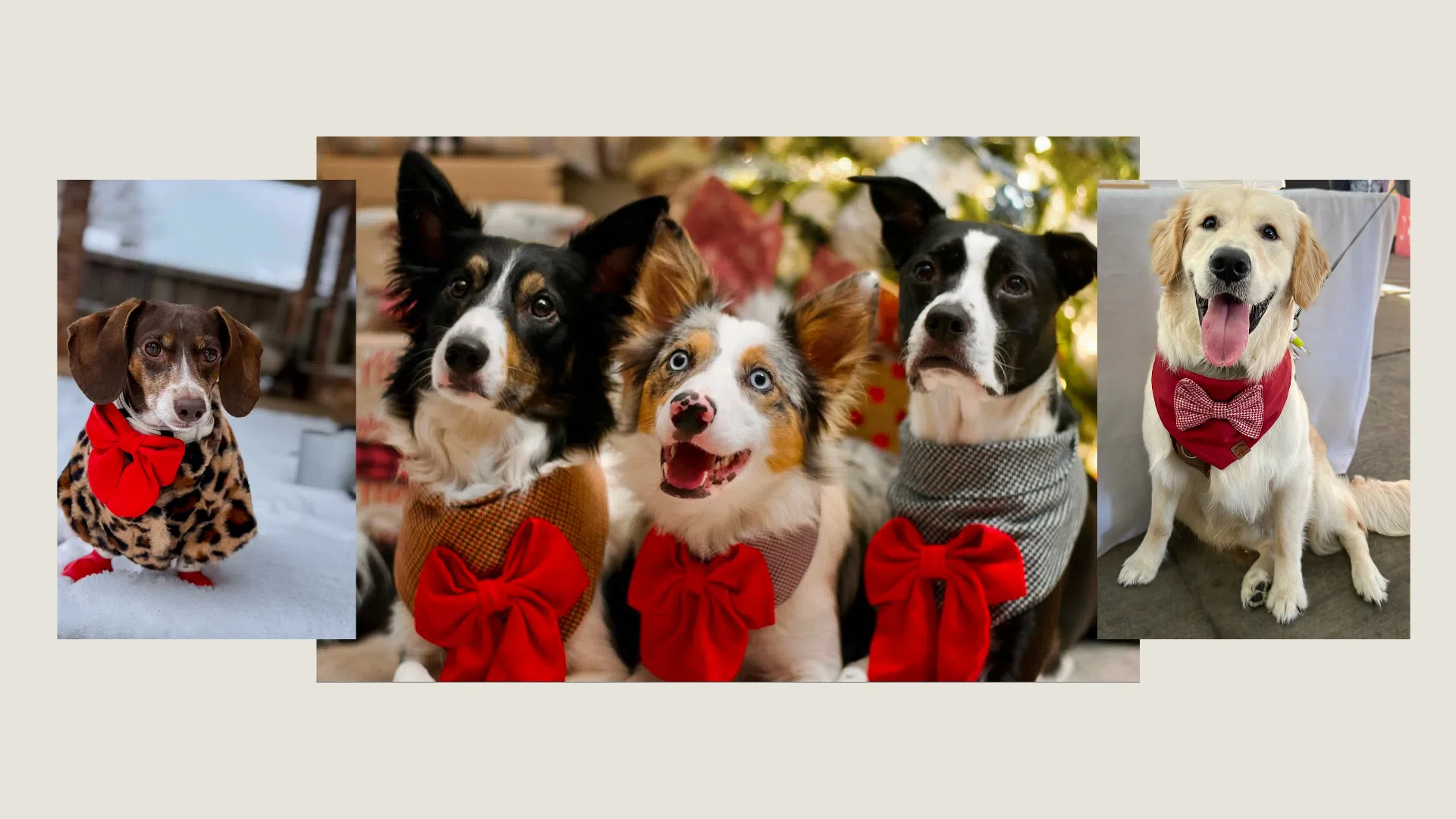 adjustable, Christmas Dog Bandanas and festive bows