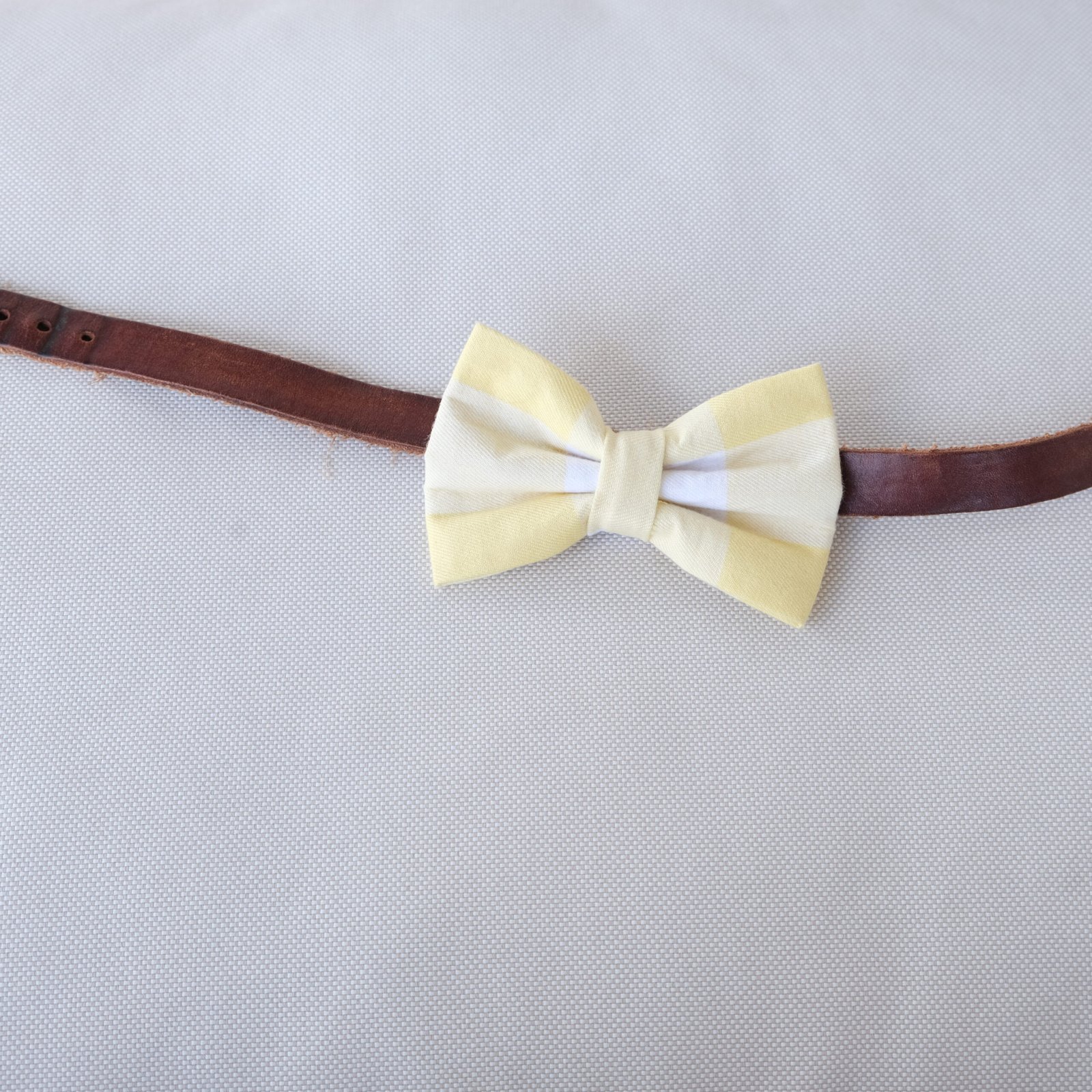 Dog Bow Tie - Yellow Buffalo Check - Image 5