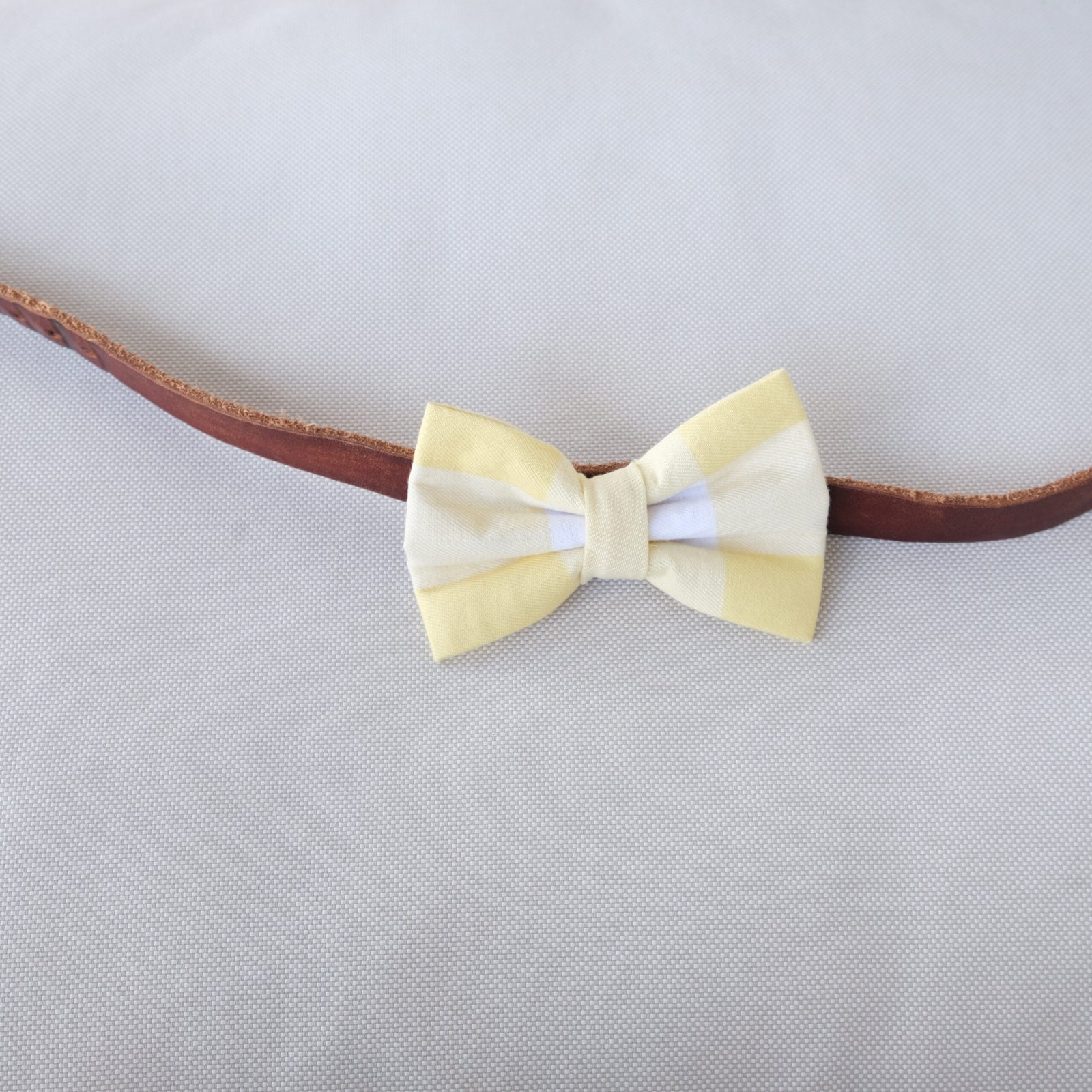 Dog Bow Tie - Yellow Buffalo Check - Image 4