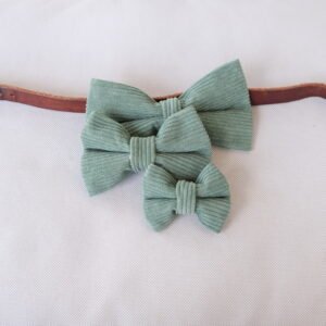 Dog Bow Tie Texas Sage Corduroy