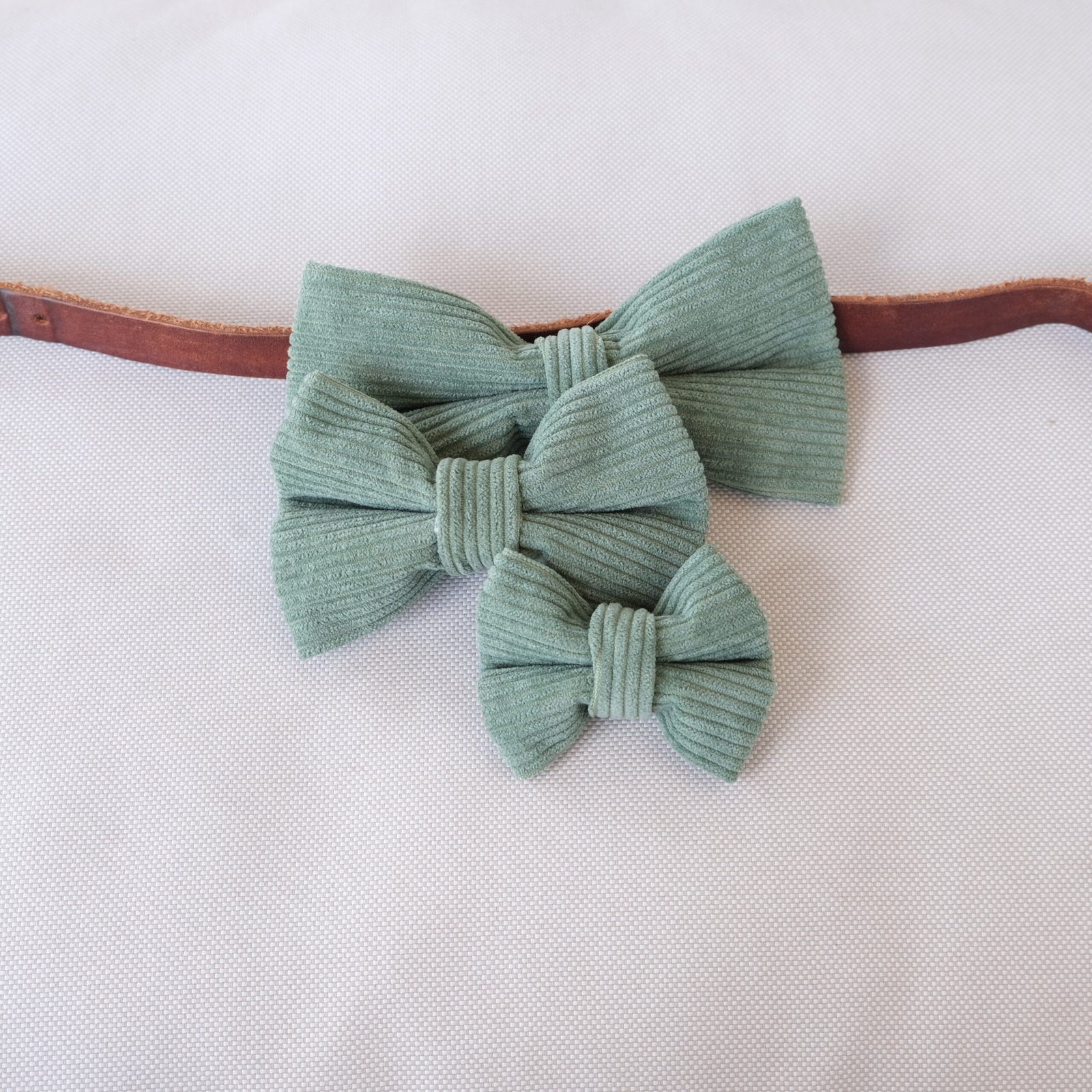 Dog Bow Tie Texas Sage Corduroy