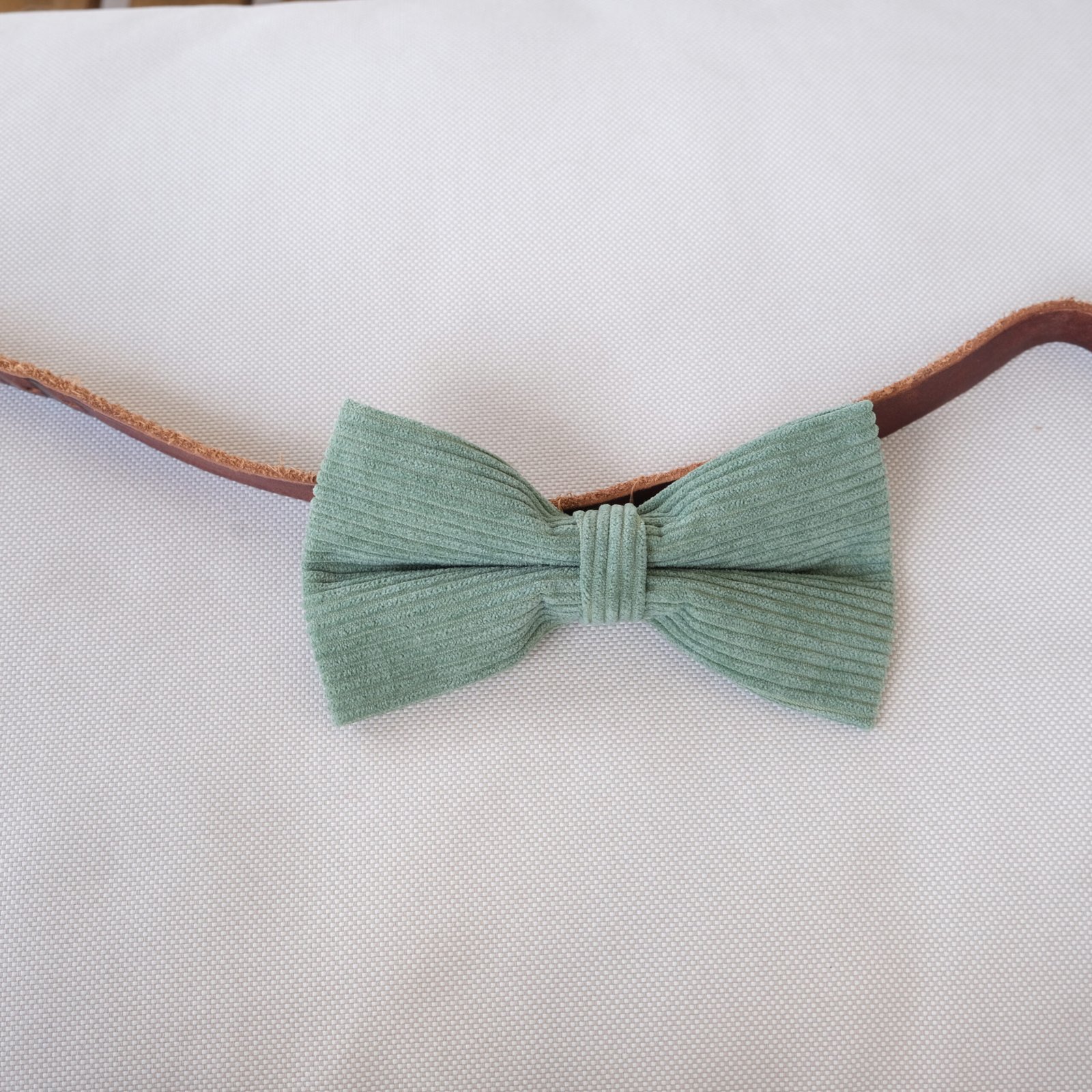 Dog Bow Tie Texas Sage Corduroy - Image 4