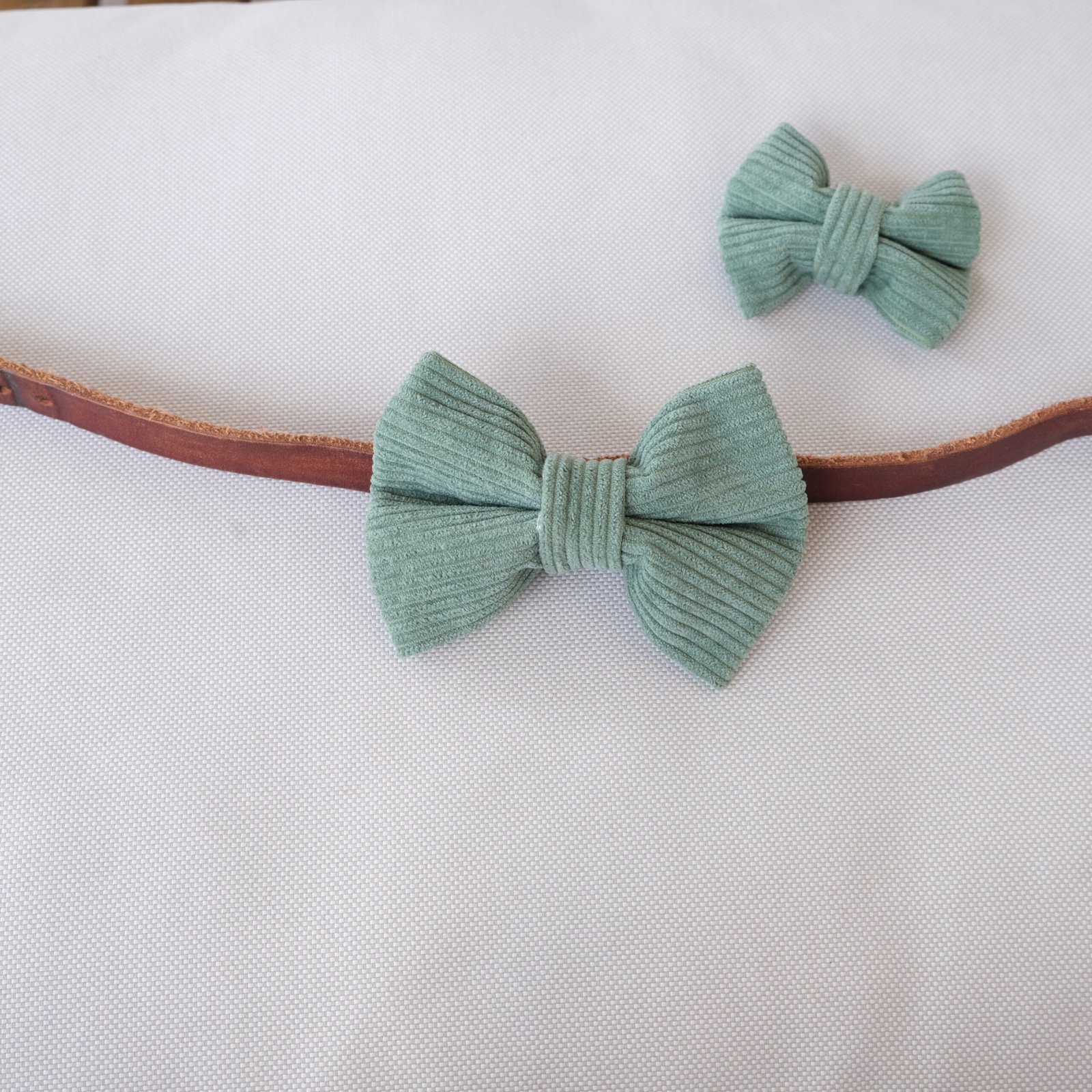 Dog Bow Tie Texas Sage Corduroy - Image 3
