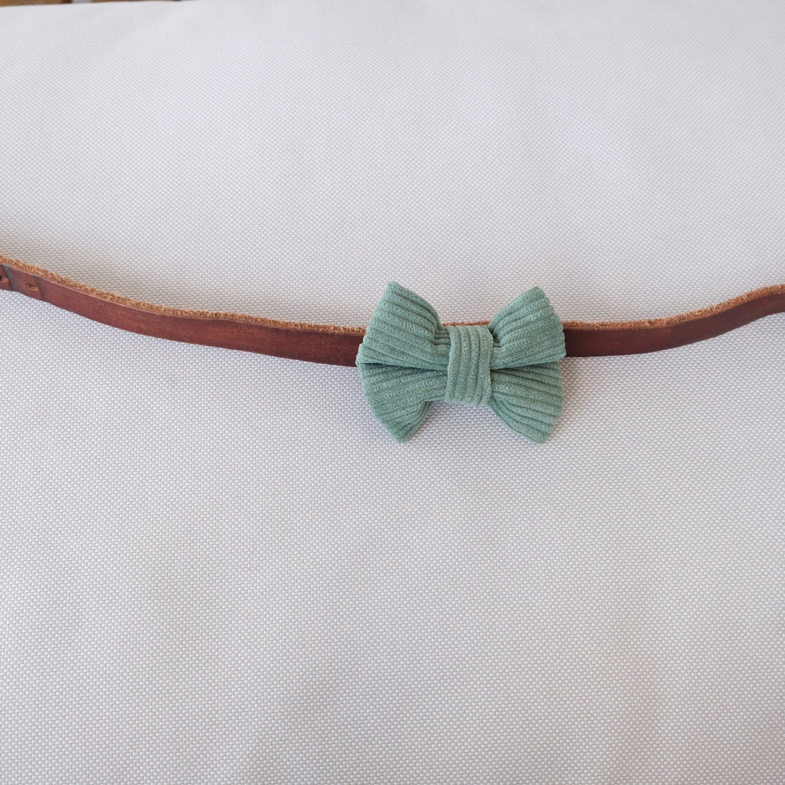 Dog Bow Tie Texas Sage Corduroy - Image 2