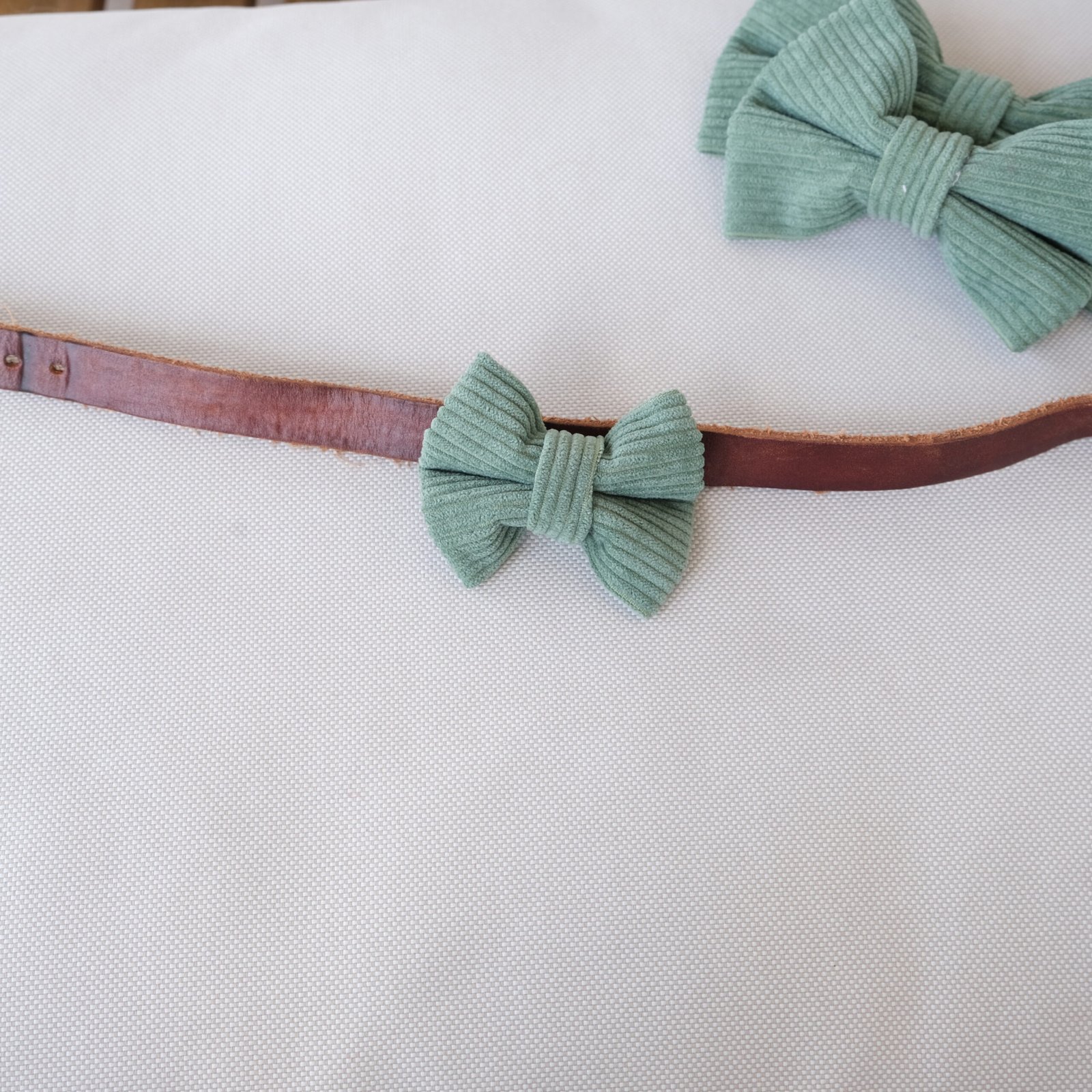 Dog Bow Tie Texas Sage Corduroy - Image 6