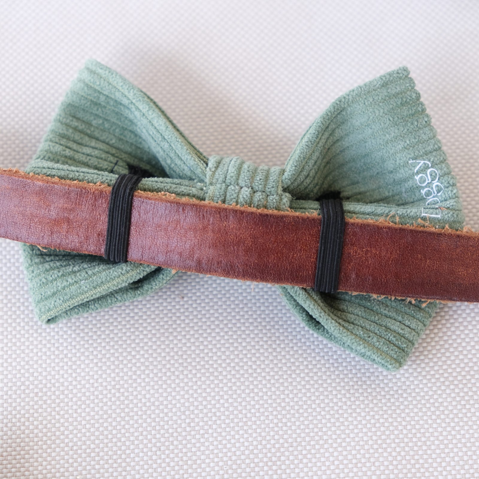 Dog Bow Tie Texas Sage Corduroy - Image 7